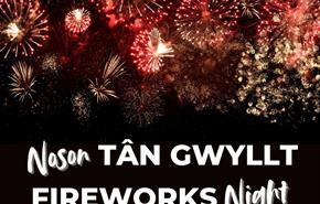 Noson Tan Gwyllt Parc y Scarlets